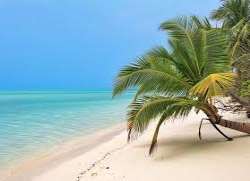 Bangaram has some interesting facts which need to be known such as the island has the least number of populations with only 10 people living on the is